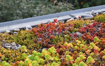 the cost of Greyabbey green roof installation