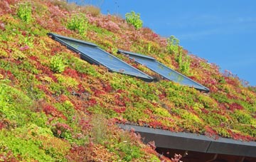 Greyabbey living roof systems