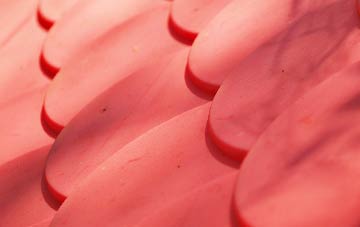 Greyabbey plastic roof costs