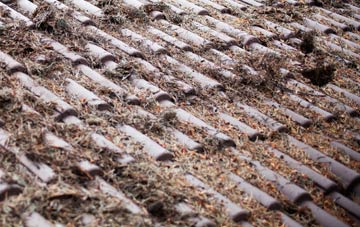 Greyabbey roof cleaning companies