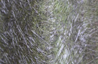 Greyabbey fibreglass roof work